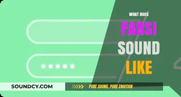 Exploring the Unique Melody and Rhythm of Farsi Speech Sounds