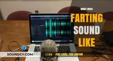 Exploring the Unique Sounds of Human Flatulence: What Does Farting Sound Like?