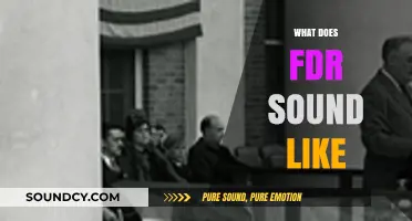 Unveiling FDR's Voice: A Journey Through His Iconic Speeches and Tone