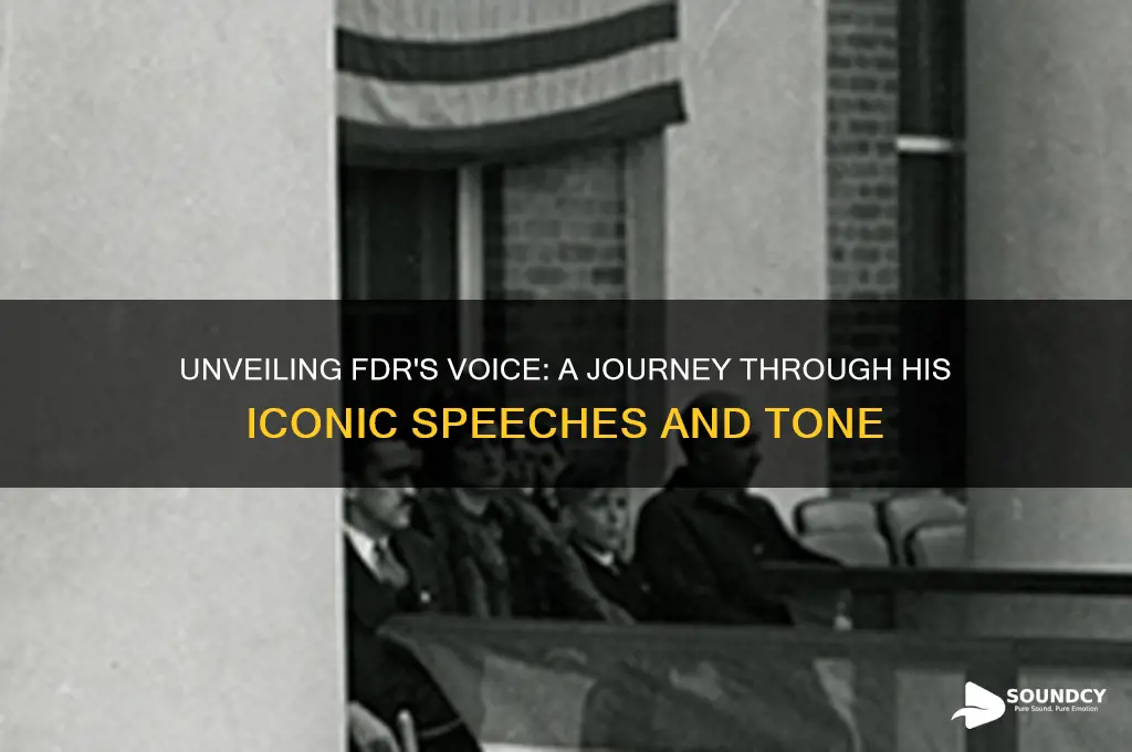 what does fdr sound like