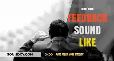 What Does Feedback Sound Like? Understanding the Noise and Its Impact