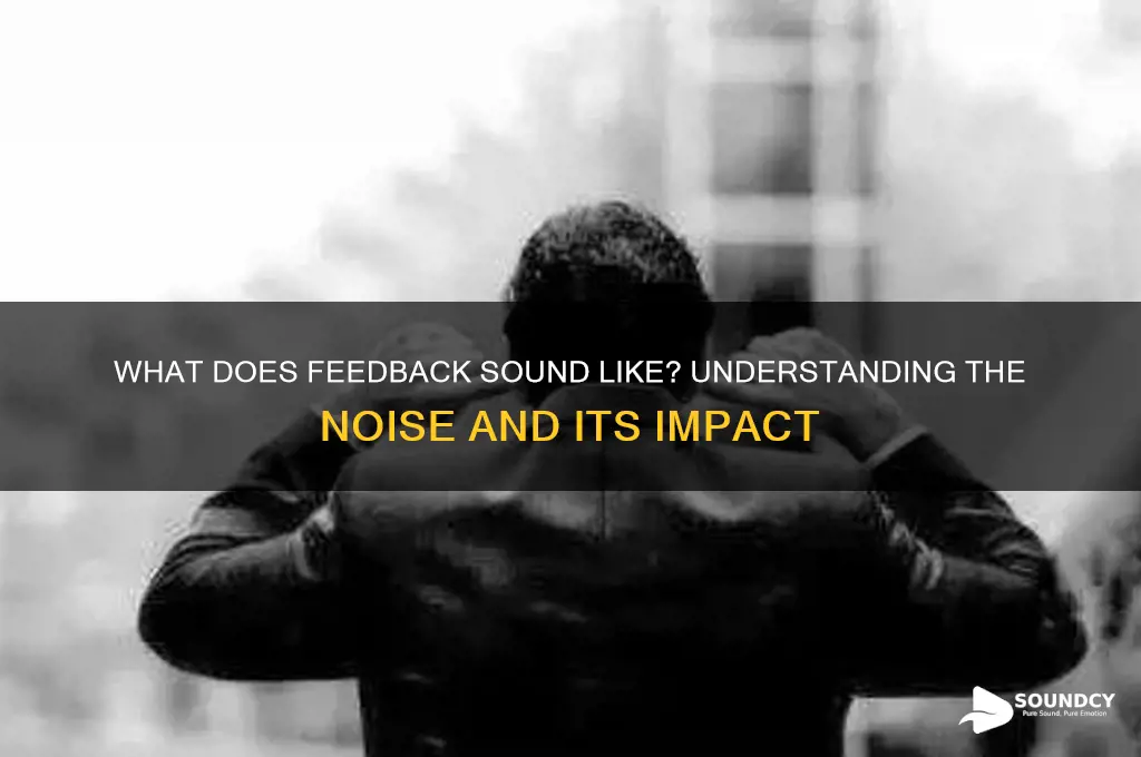 what does feedback sound like