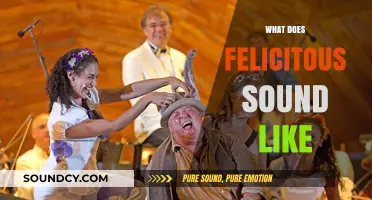 Exploring the Musicality and Charm of Felicitous Speech and Expression