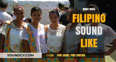 Exploring the Unique Melody and Rhythm of the Filipino Language