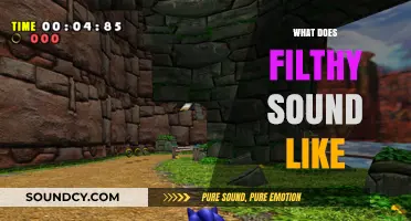 Unveiling the Sonic Layers of Filth: What Does Filthy Sound Like?