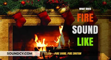 The Crackling Symphony: Unveiling the Sonic Secrets of Fire's Roar
