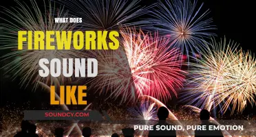 Explosive Echoes: Decoding the Unique Sounds of Fireworks Displays