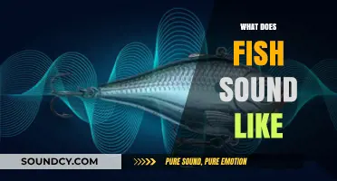 Unveiling the Underwater Symphony: Exploring What Fish Sounds Like