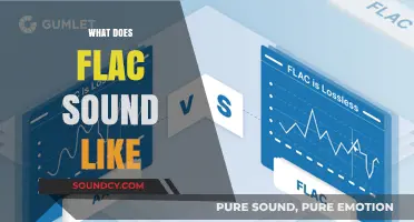 Exploring FLAC Audio Quality: What Does FLAC Sound Like?