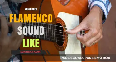Exploring Flamenco's Passionate Rhythms: A Sonic Journey Through Its Unique Sound