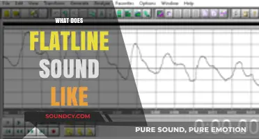 Unraveling the Eerie Silence: What Does a Flatline Sound Like?