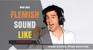 Exploring the Unique Sounds and Rhythms of Flemish Speech