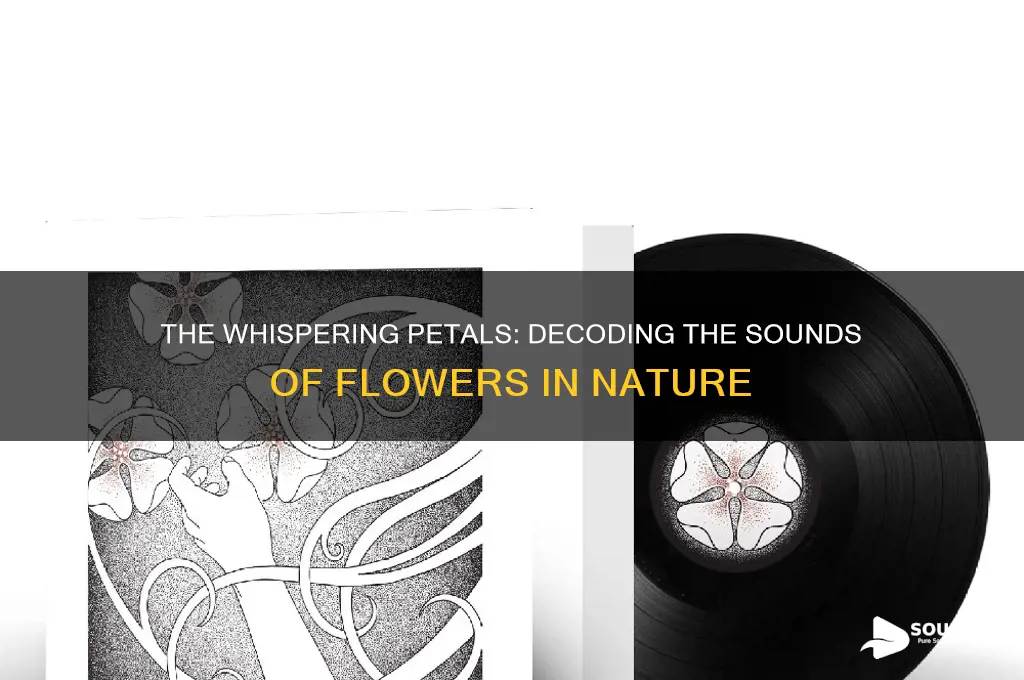 what does flowers sound like