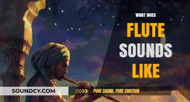 Exploring the Unique, Melodic, and Ethereal Sound of the Flute