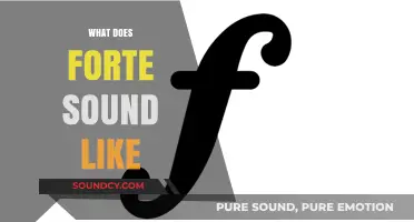 Understanding Forte: Exploring the Powerful, Dynamic Sound in Music