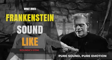 Unraveling Frankenstein's Voice: Exploring the Sounds of Mary Shelley's Monster