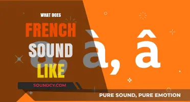 What Does French Sound Like? Exploring the Melody and Rhythm of the Language