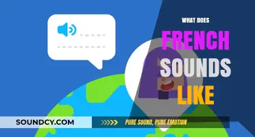 Exploring the Unique Melody and Rhythm of French Pronunciation