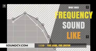 Exploring the Audible Spectrum: What Does Frequency Sound Like?