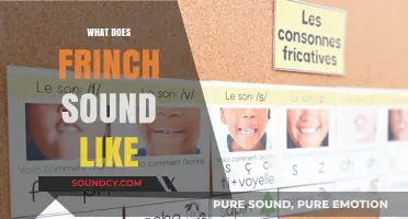 Unraveling the Unique Sounds of Frinch: A Linguistic Exploration