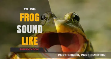 Exploring the Unique Ribbit: What Does a Frog Sound Like?