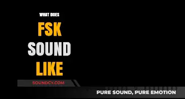 Exploring FSK: Unveiling the Unique Auditory Signature of Frequency-Shift Keying