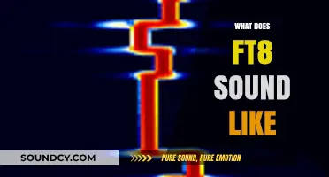Unveiling the Unique Sounds of FT8: A Beginner's Audio Guide