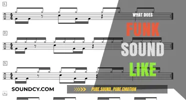 Exploring the Grooves: What Does Funk Music Really Sound Like?