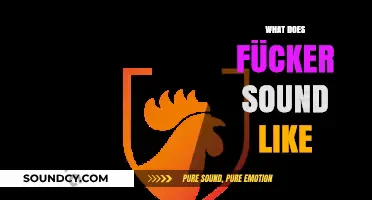 What Does Fücker Sound Like? Exploring the Pronunciation and Nuances