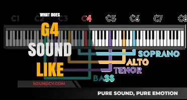 Exploring the Unique Sonic Qualities of the G4 Vocal Range