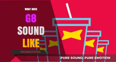 Exploring the Sonic Identity: What Does the G8 Sound Like?