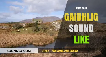 Unveiling the Unique Melody: What Does the Gaelic Language Sound Like?