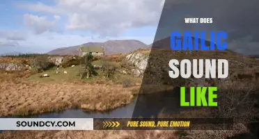 Exploring the Unique Sounds and Rhythms of the Gaelic Language