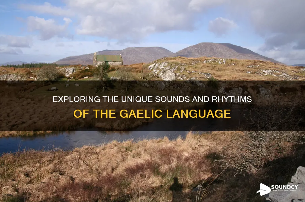 what does gailic sound like