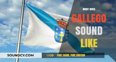Exploring the Unique Sounds and Rhythms of the Gallego Language
