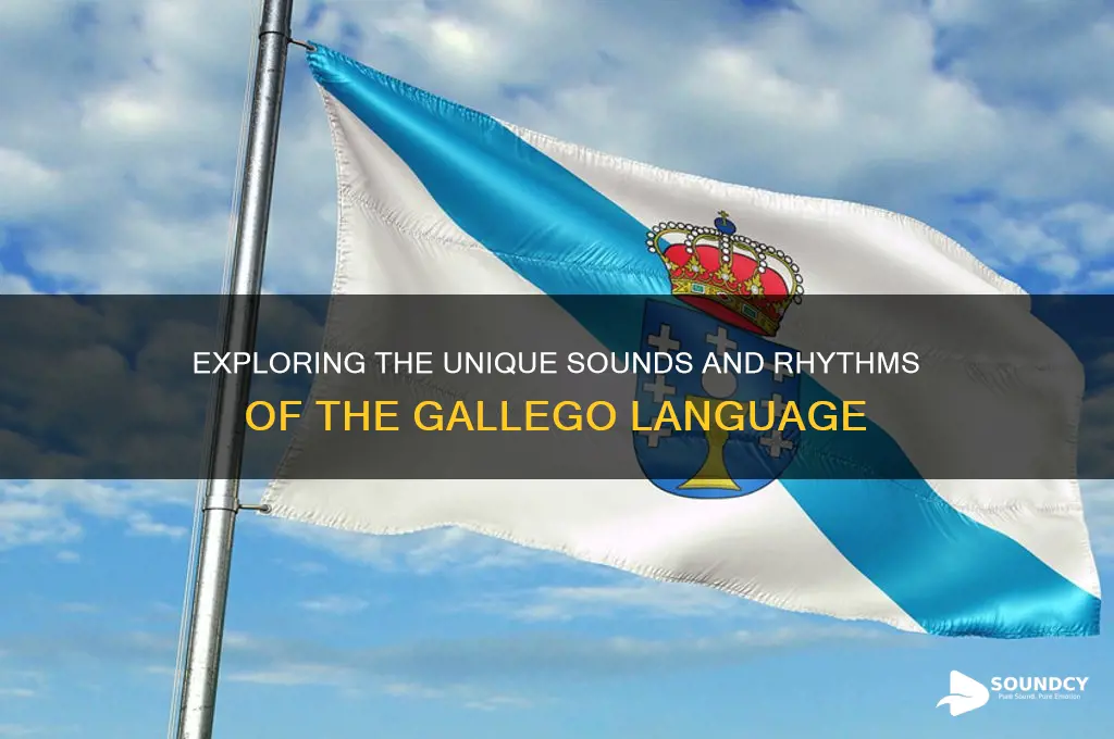 what does gallego sound like