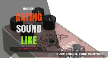 Unveiling the Unique Sonic Signature of Gating in Audio Production