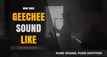 Exploring the Unique Rhythms and Melodies of Geechee Vernacular