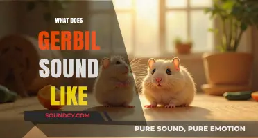 Discover the Unique Sounds Gerbils Make: A Comprehensive Guide