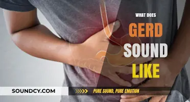 What Does GERD Sound Like? Uncovering the Audible Signs of Acid Reflux