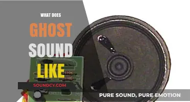 Unveiling the Eerie: What Does a Ghost Sound Like?