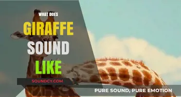 Unveiling the Unique Vocalizations: What Does a Giraffe Sound Like?