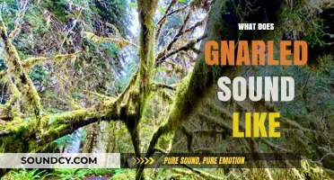 What Does Gnarled Sound Like? Exploring the Sonic Texture of Twisted Words