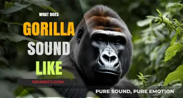 Unveiling the Unique Vocalizations: What Does a Gorilla Sound Like?