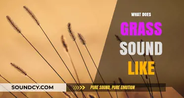 The Whispering Meadow: Decoding the Subtle Sounds of Grass