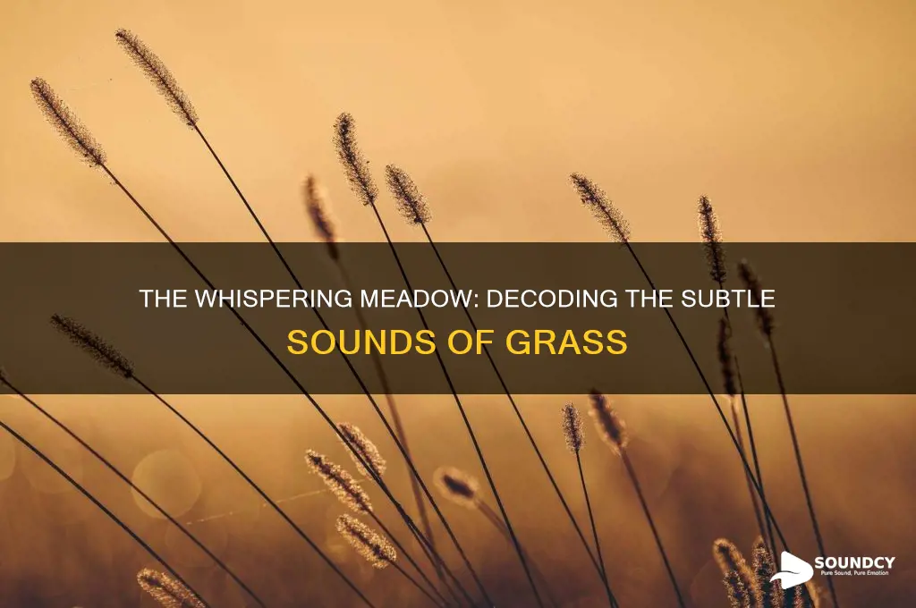what does grass sound like