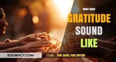 The Audible Essence of Gratitude: Voices, Tones, and Expressions Explored