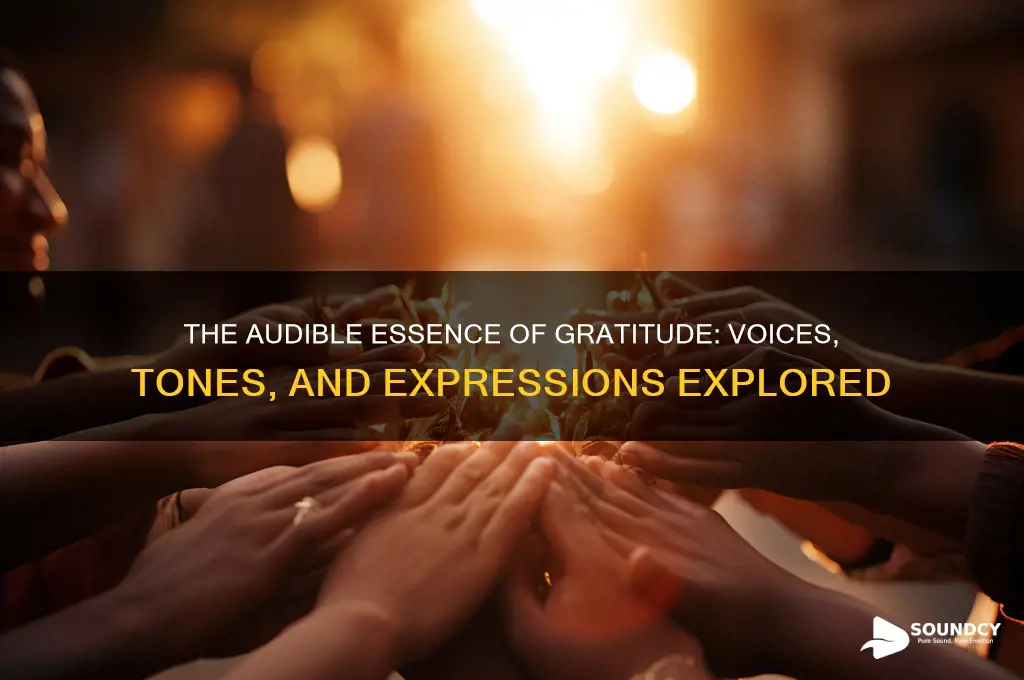 what does gratitude sound like
