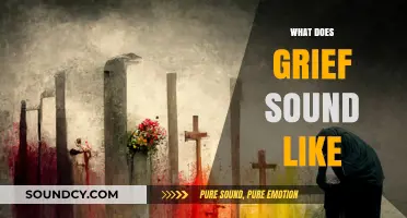 What Does Grief Sound Like: Exploring the Audible Echoes of Loss