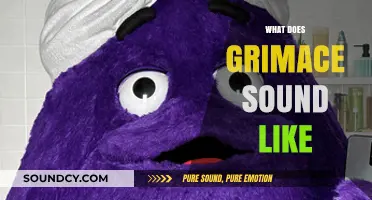 Unveiling the Mysterious Auditory Qualities of a Grimace: What Does It Sound Like?